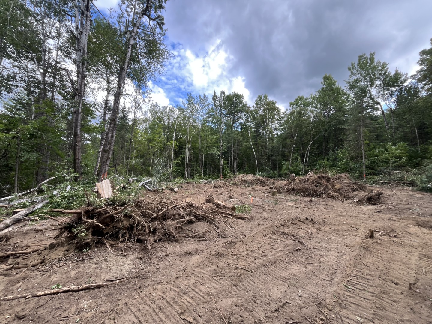 Construction neuve — réalisation 1