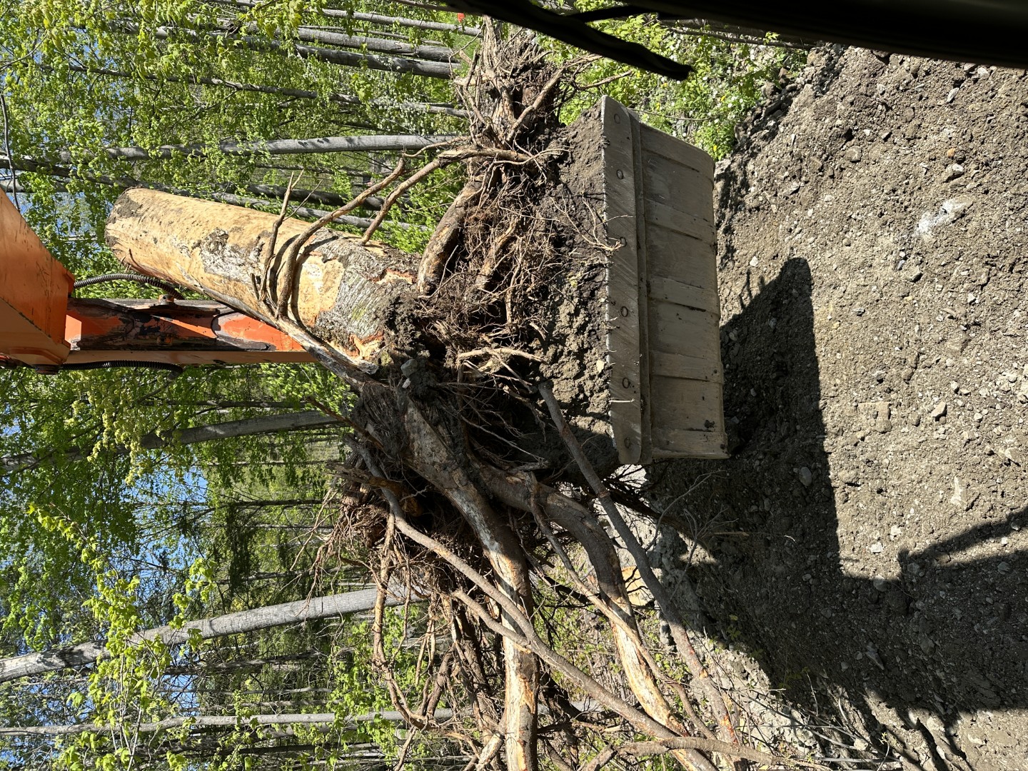 Construction neuve — réalisation 4