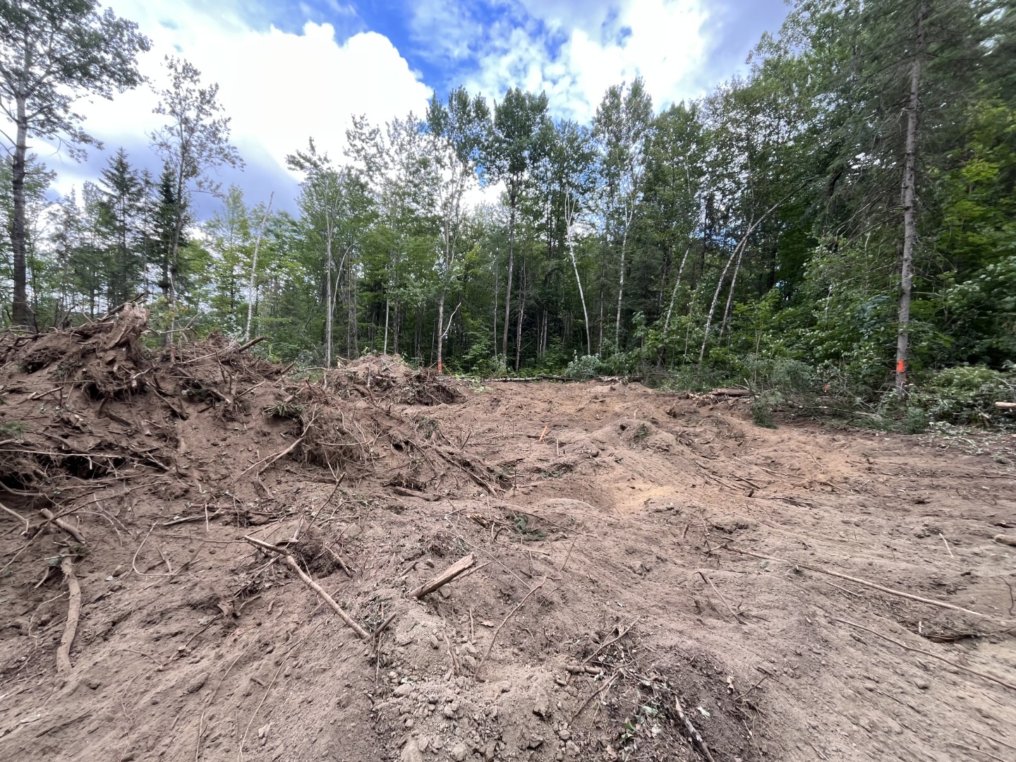 Déboisement & préparation de terrain — réalisation 3