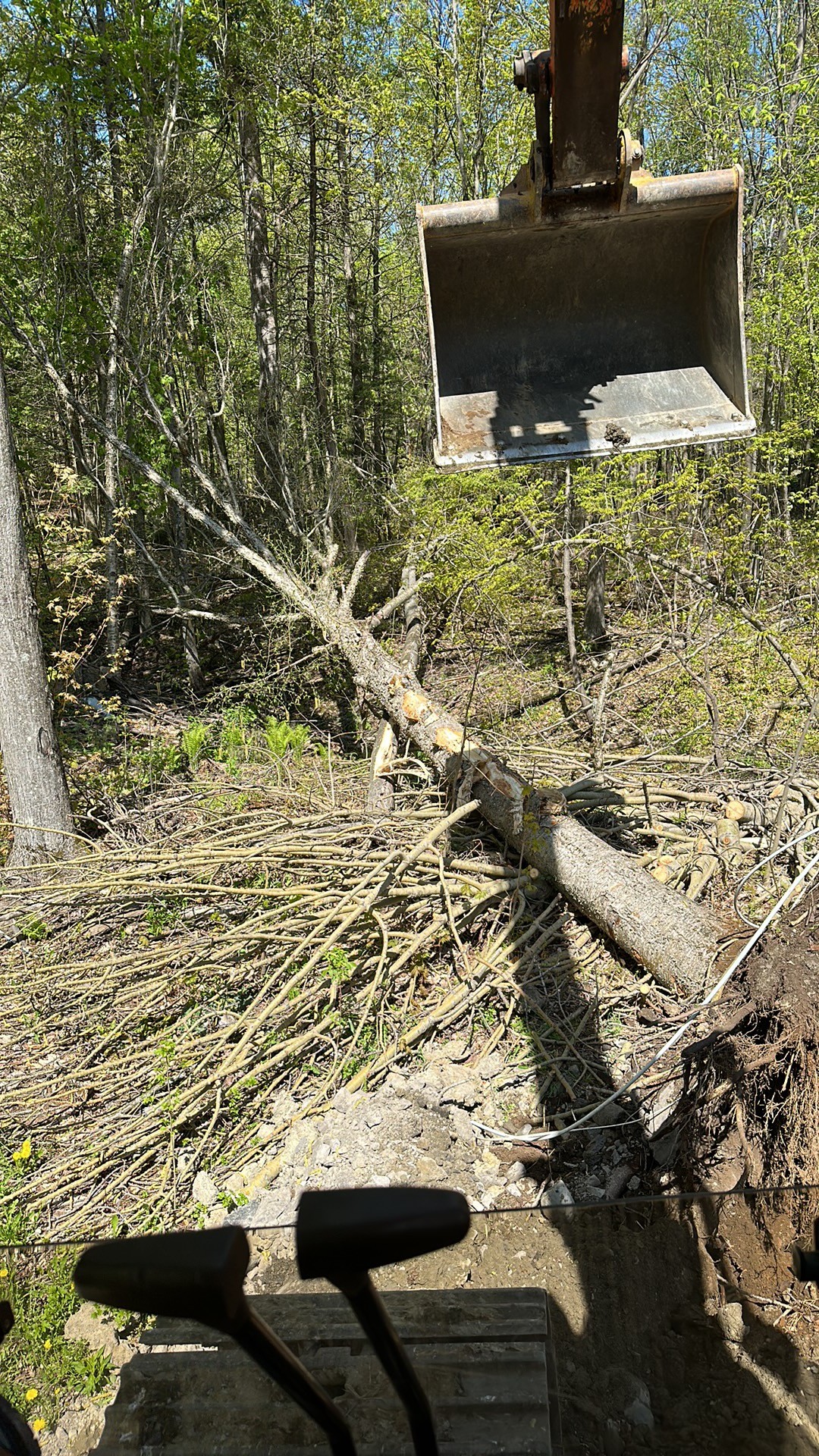 Déboisement & préparation de terrain — réalisation 5