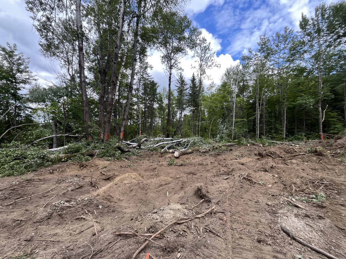 Déboisement & préparation de terrain — réalisation 8