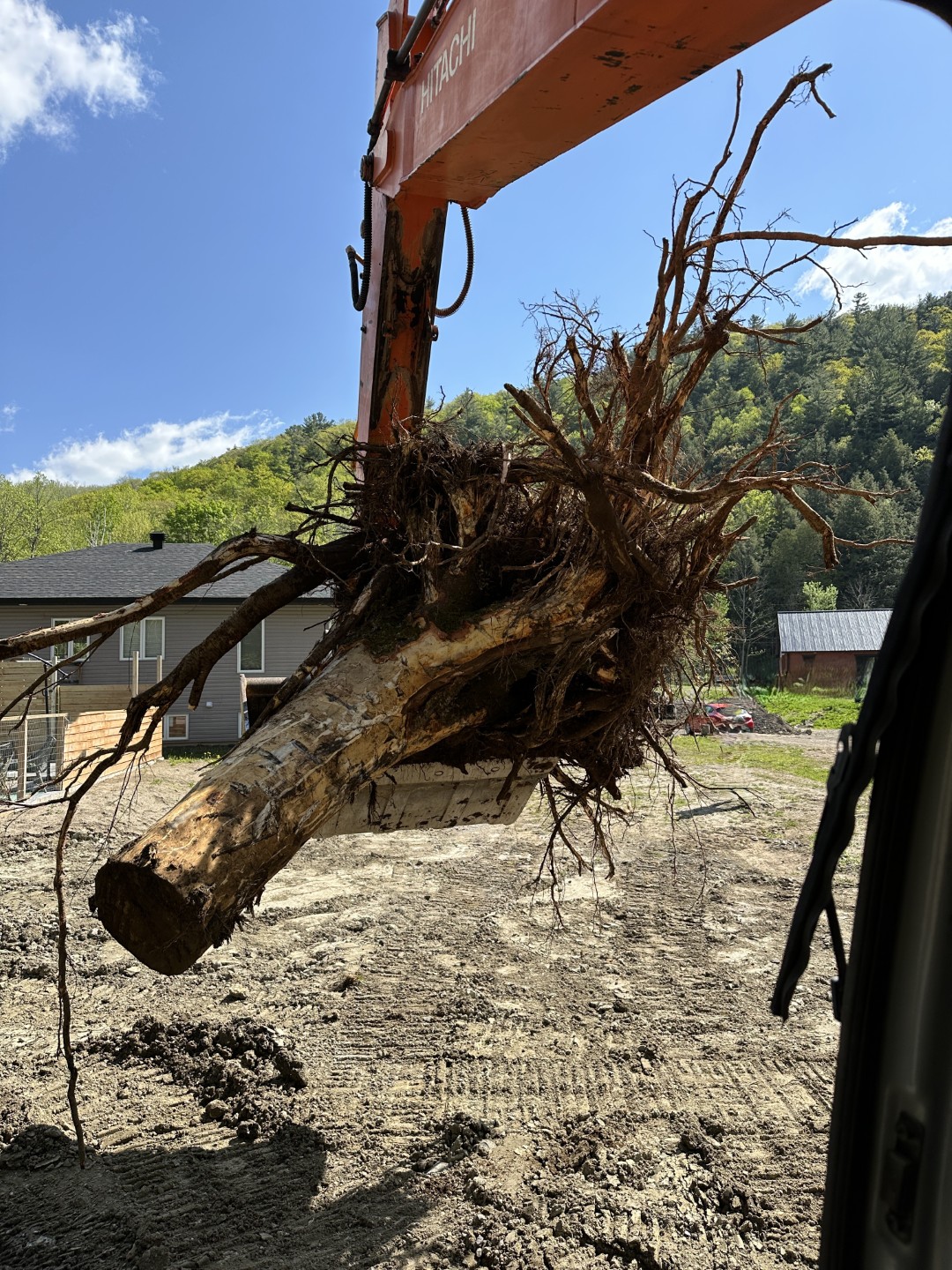 Déboisement & préparation de terrain — réalisation 11