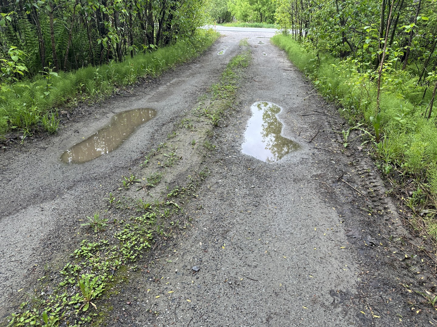 Nivellement d'entrée & recyclé d'asphalte — réalisation 14