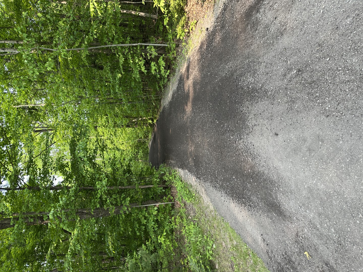 Terrassement & nivellement de terrain — réalisation 8